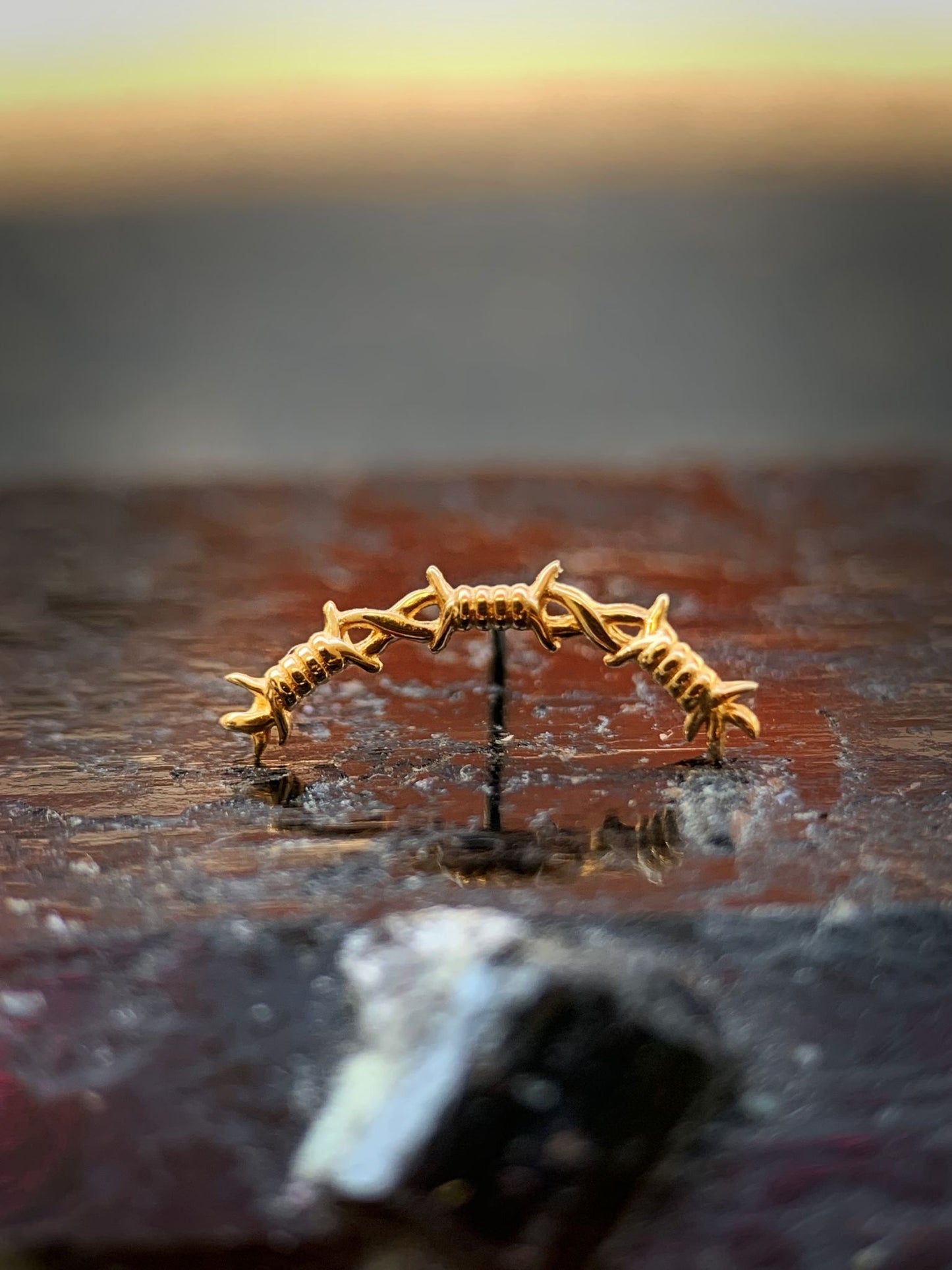 Barbed Wire